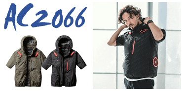 Сȥ롡ե2066꡼