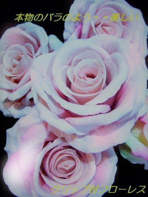 本物のバラのよう クリップ付フローレス ライトサーモンピンク フラメンコ衣装バレンシア