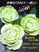 <img class='new_mark_img1' src='https://img.shop-pro.jp/img/new/icons61.gif' style='border:none;display:inline;margin:0px;padding:0px;width:auto;' />ʪΥХΤ褦ǡԥۥ磻ȥХ餤Ǥ礦աåեե쥹10cm